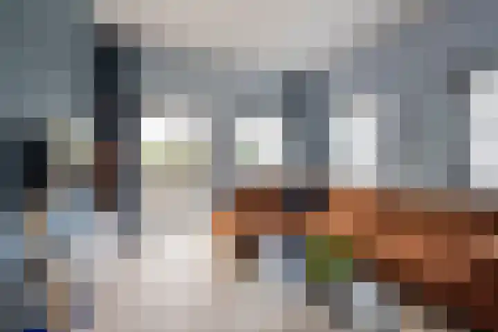Speelkamp 30 d Leusden thumbnail 4