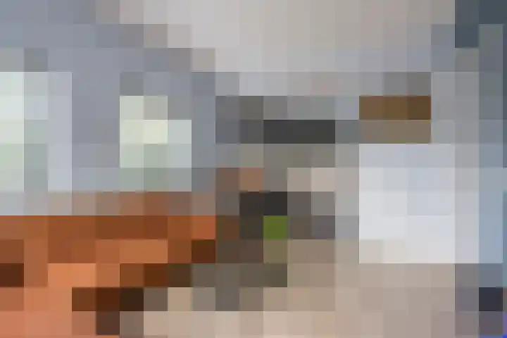 Speelkamp 30 d Leusden thumbnail 5