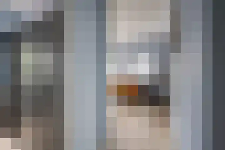 Speelkamp 30 d Leusden thumbnail 7
