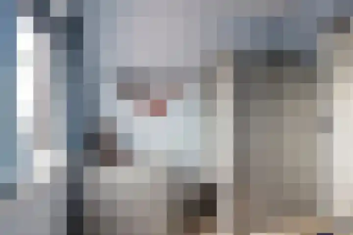 Speelkamp 30 d Leusden thumbnail 9