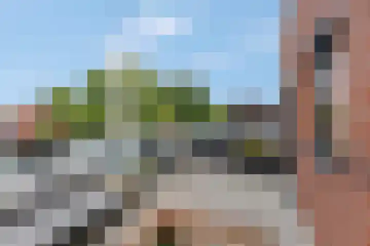 Speelkamp 30 w Leusden thumbnail 17