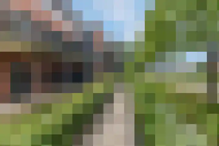 Speelkamp 30 w Leusden thumbnail 35
