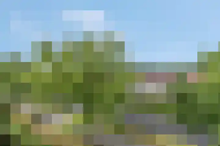 Speelkamp 30 w Leusden thumbnail 36