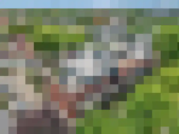 Speelkamp 30 w Leusden thumbnail 38
