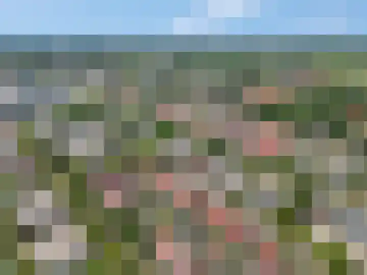 Speelkamp 30 w Leusden thumbnail 39