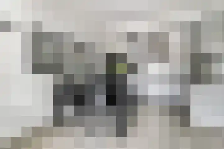 Speelkamp 30 w Leusden thumbnail 5
