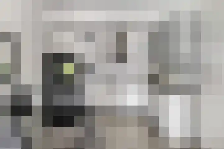 Speelkamp 30 w Leusden thumbnail 6