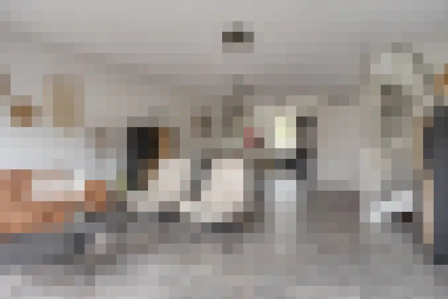 Speelmanhof 17 Etten-Leur thumbnail 11