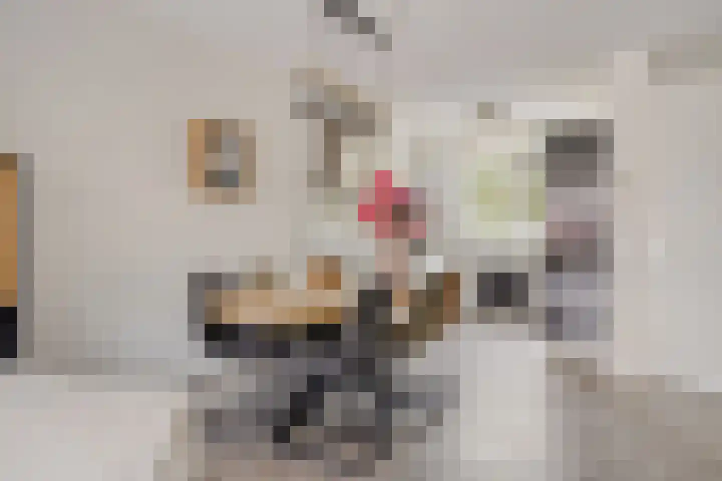 Speelmanhof 17 Etten-Leur thumbnail 13