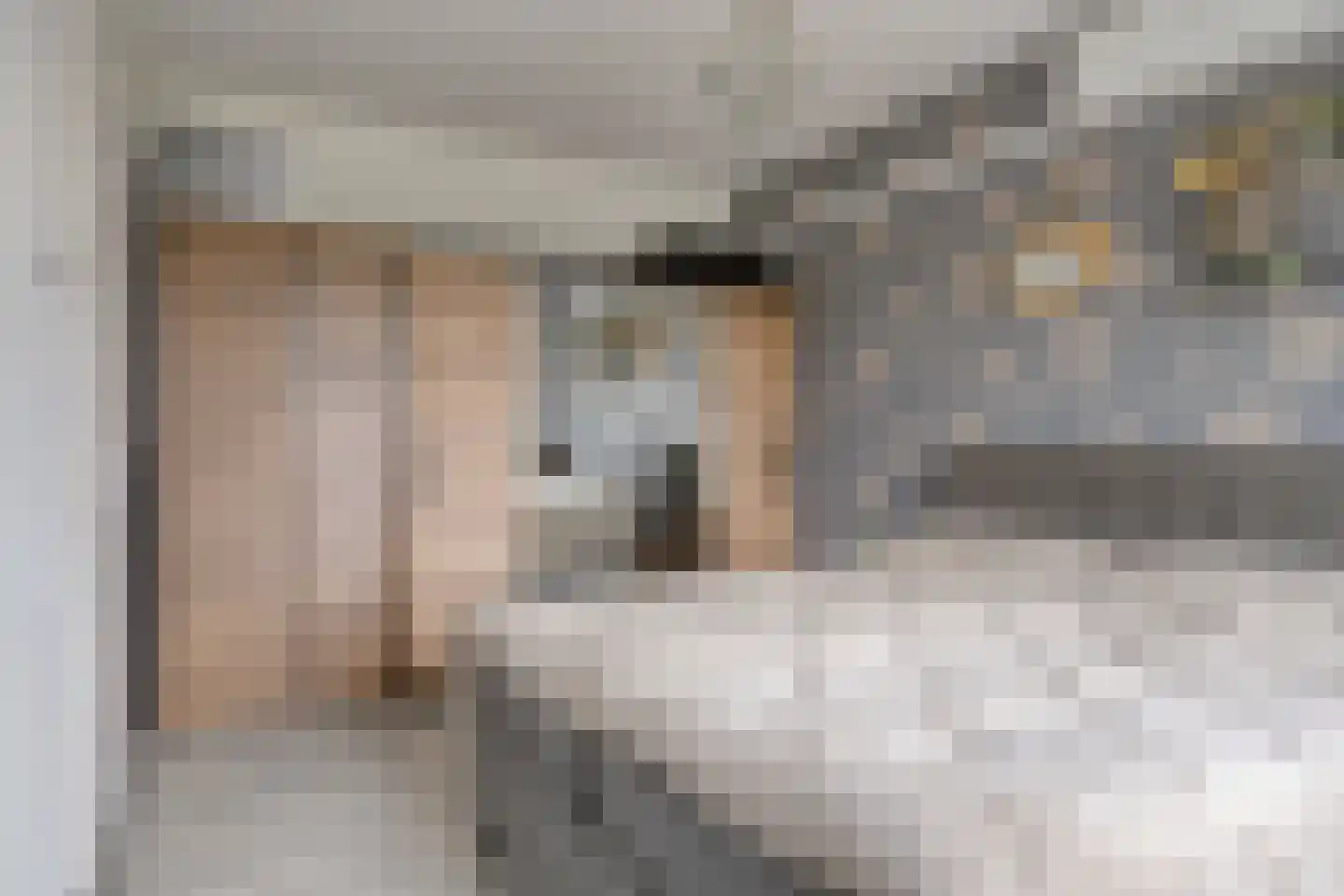 Speelmanhof 17 Etten-Leur thumbnail 18
