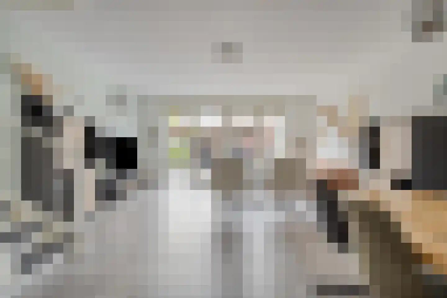 Speelmanhof 17 Etten-Leur thumbnail 9