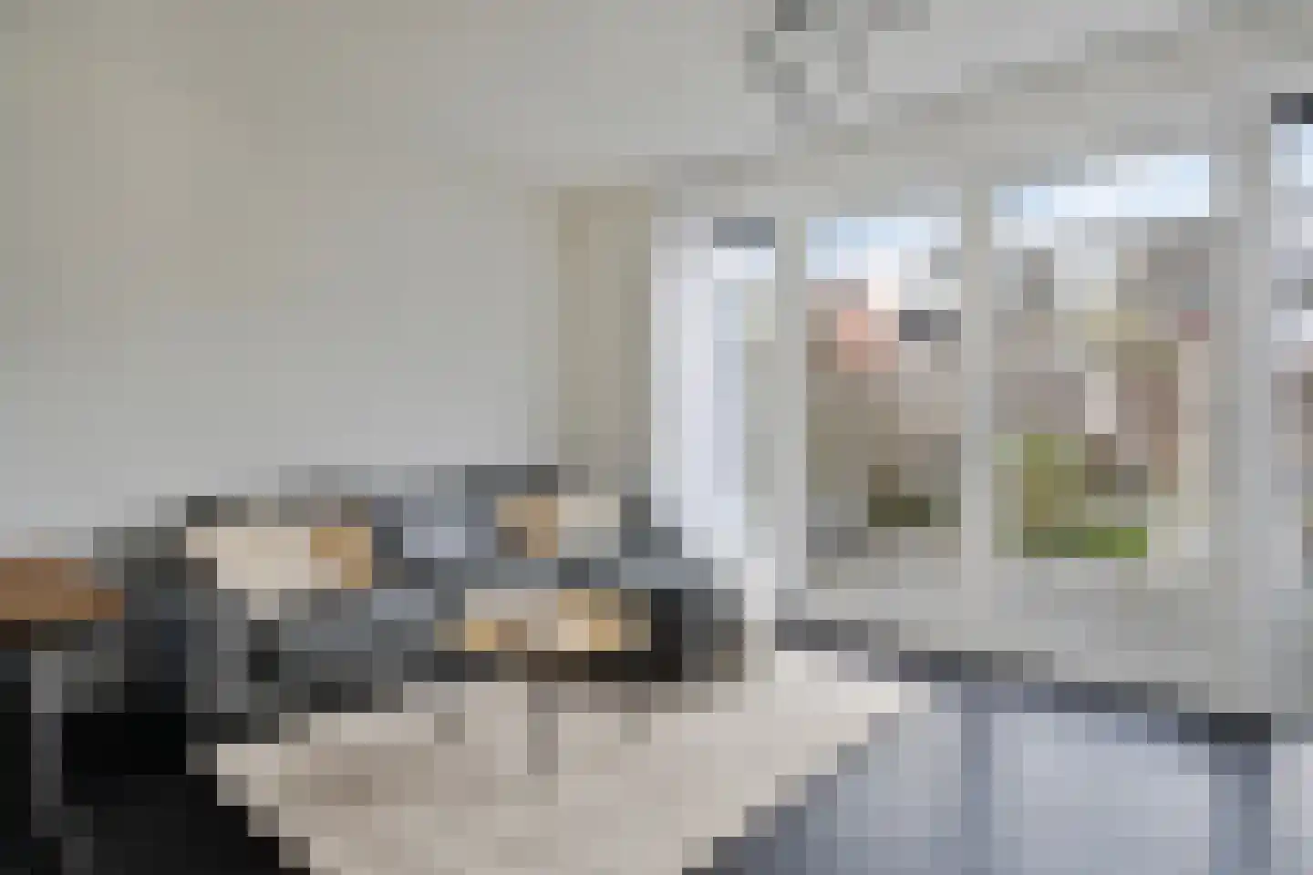 Speelmanhof 7 Etten-Leur thumbnail 10