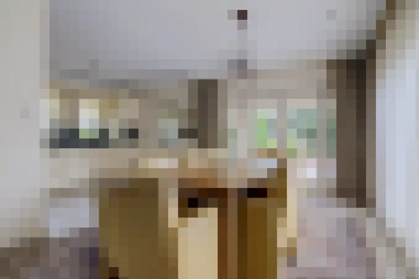 Speelmanshof 1 Ammerzoden thumbnail 10
