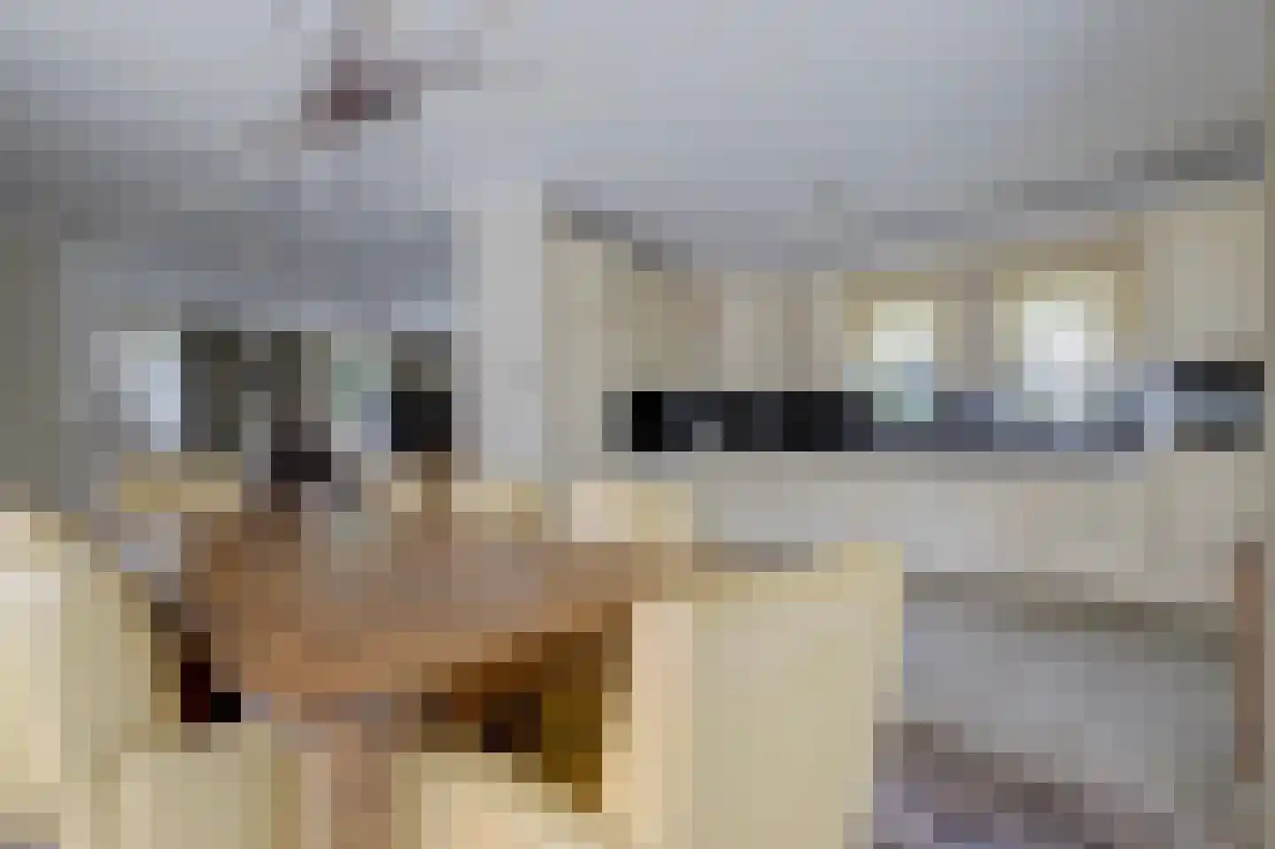 Speelmanshof 1 Ammerzoden thumbnail 11