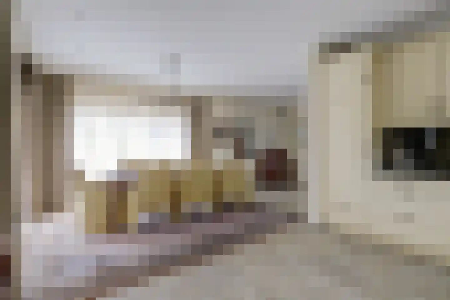Speelmanshof 1 Ammerzoden thumbnail 12