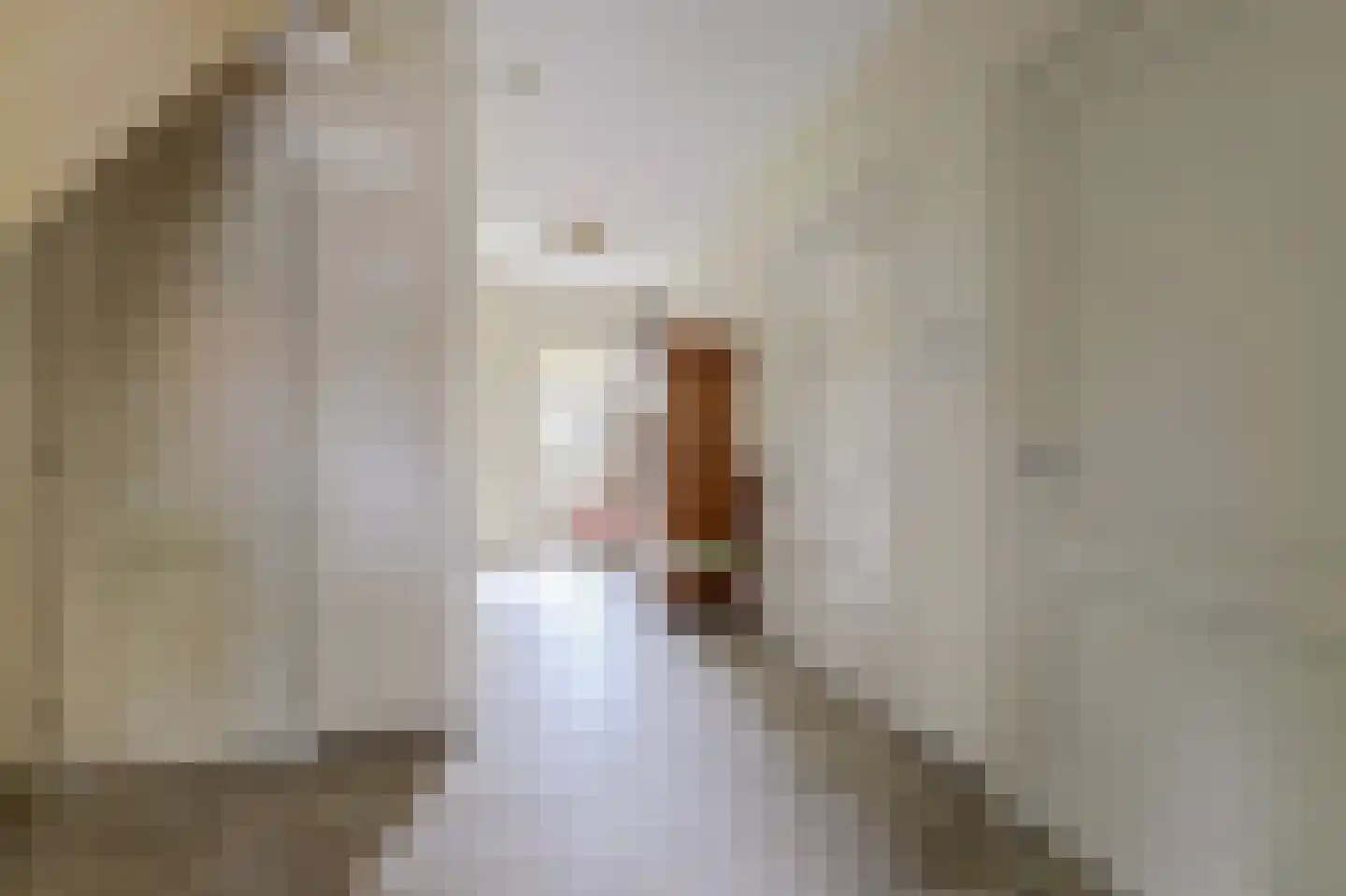 Speelmanshof 1 Ammerzoden thumbnail 18