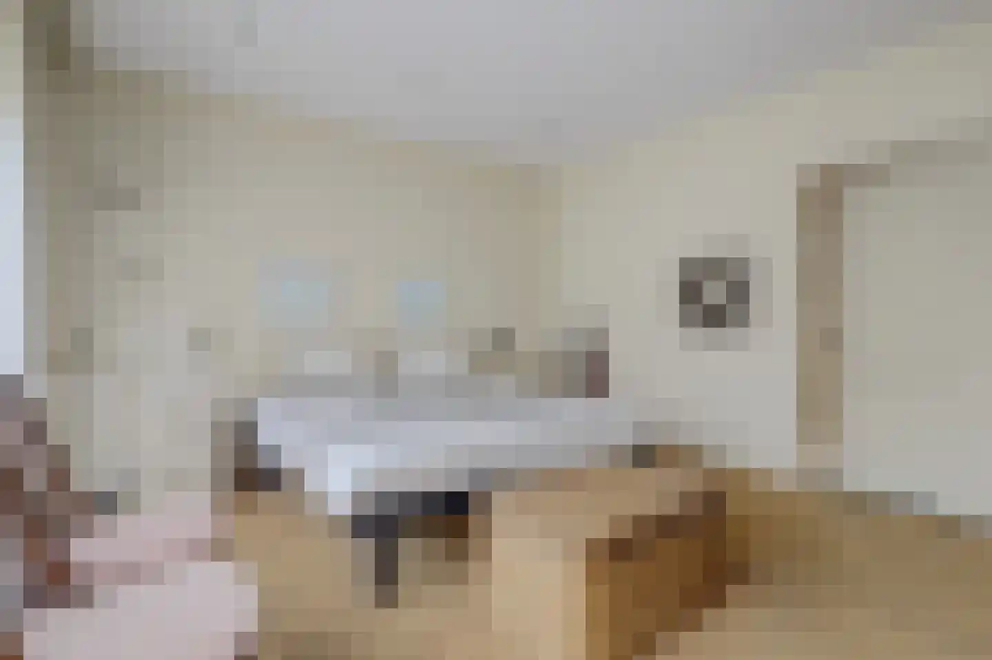 Speelmanshof 1 Ammerzoden thumbnail 19