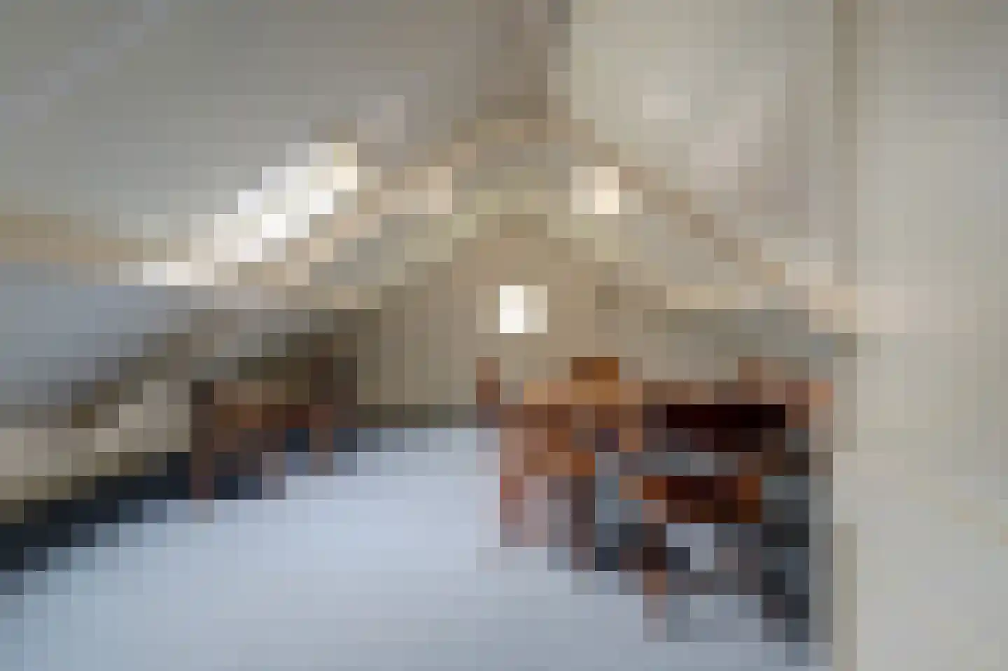 Speelmanshof 1 Ammerzoden thumbnail 32