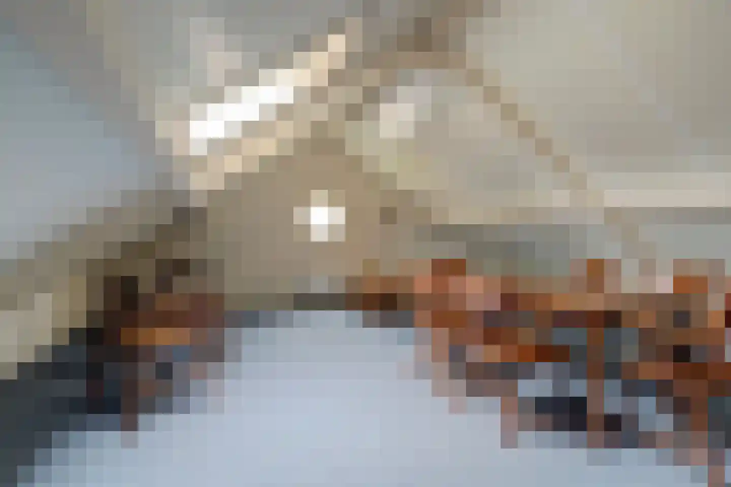 Speelmanshof 1 Ammerzoden thumbnail 33