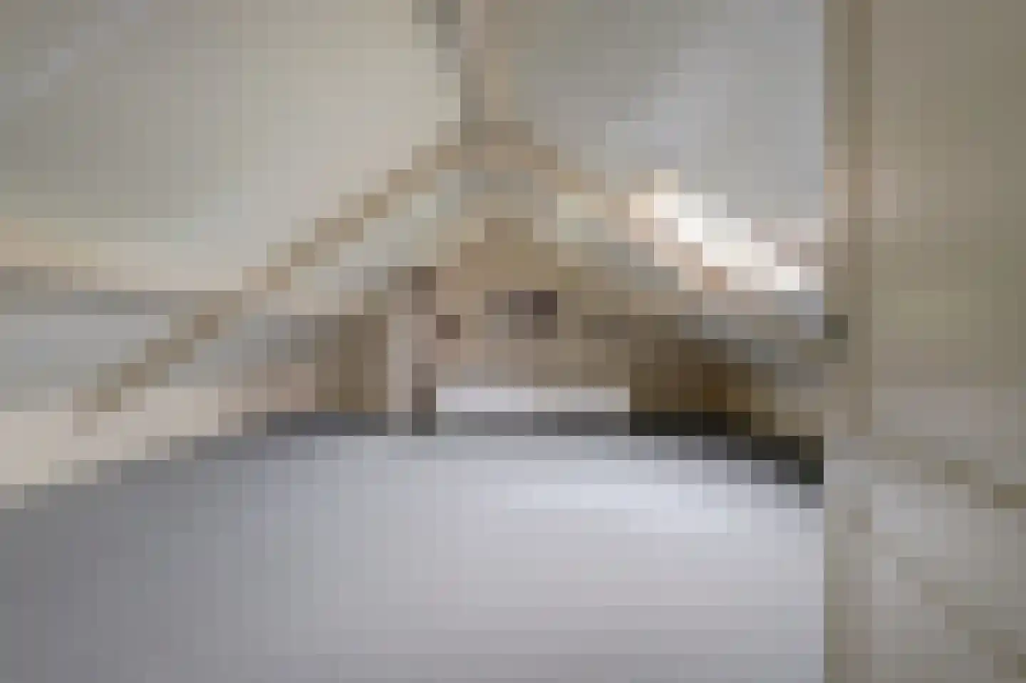 Speelmanshof 1 Ammerzoden thumbnail 36