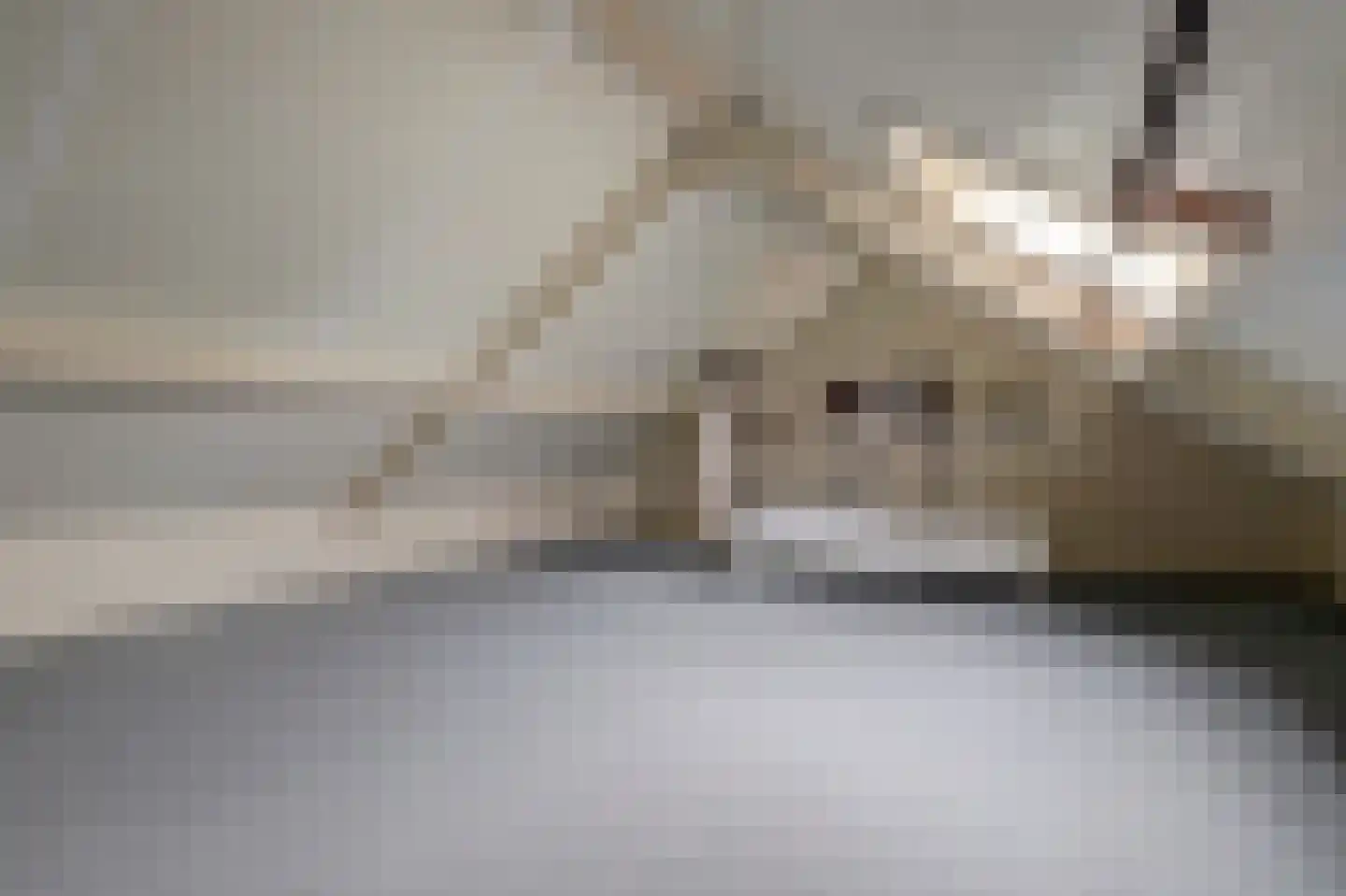 Speelmanshof 1 Ammerzoden thumbnail 37