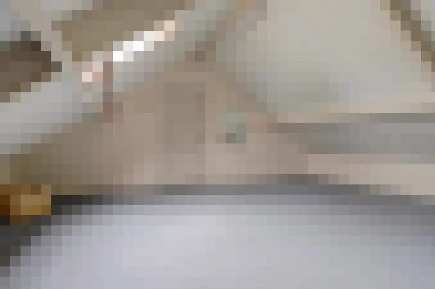 Speelmanshof 1 Ammerzoden thumbnail 38