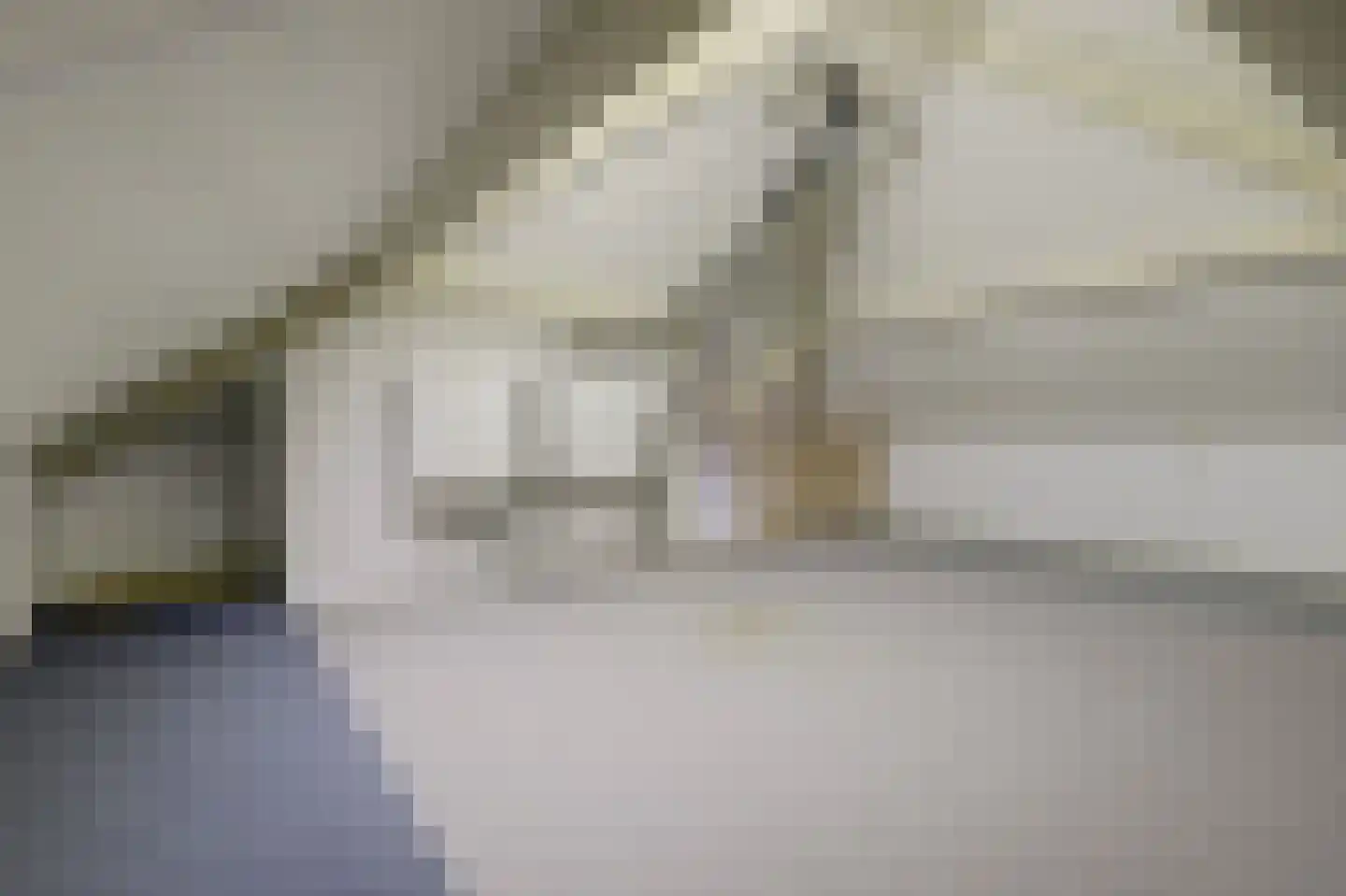 Speelmanshof 1 Ammerzoden thumbnail 42