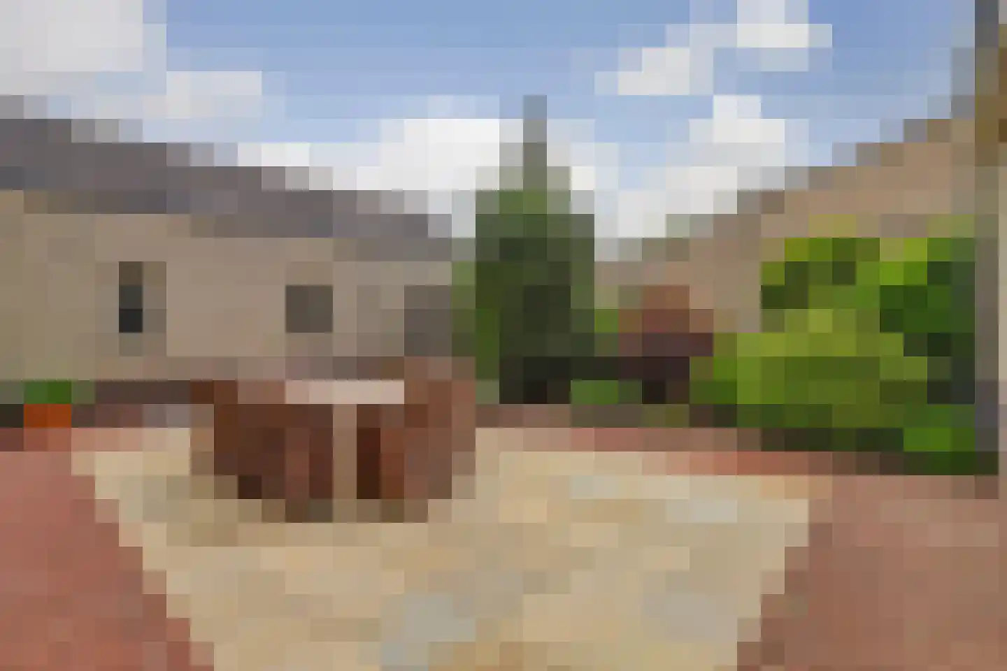 Speelmanshof 1 Ammerzoden thumbnail 46