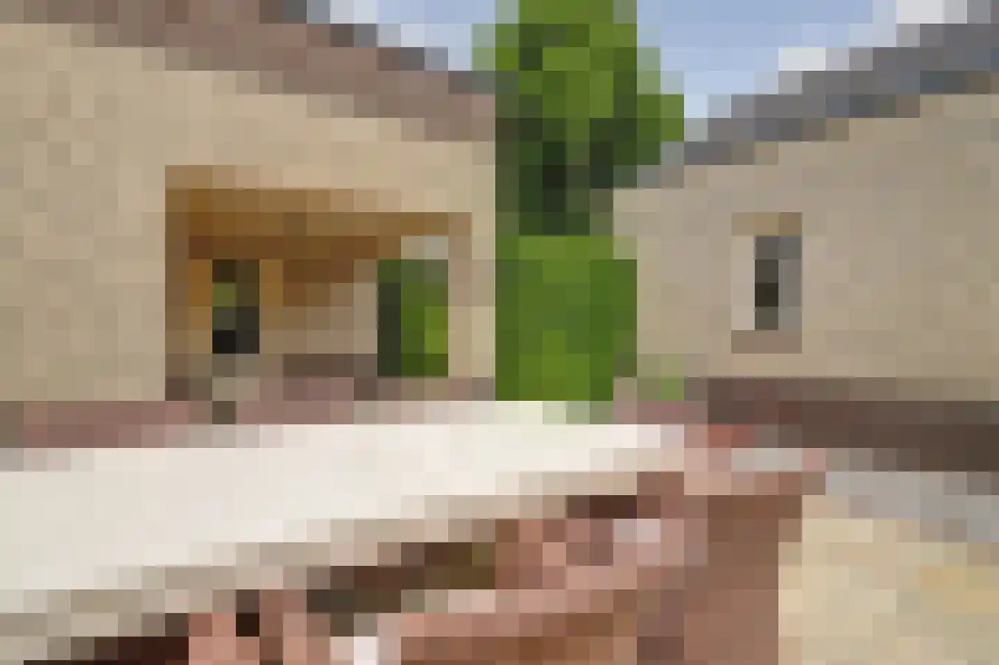 Speelmanshof 1 Ammerzoden thumbnail 47