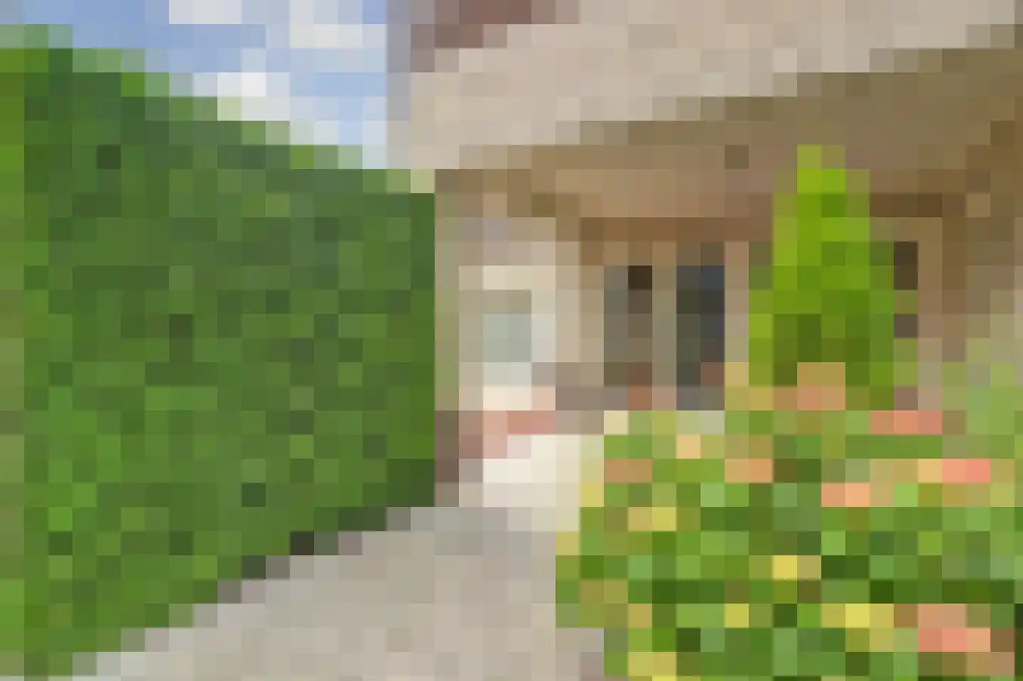 Speelmanshof 1 Ammerzoden thumbnail 48