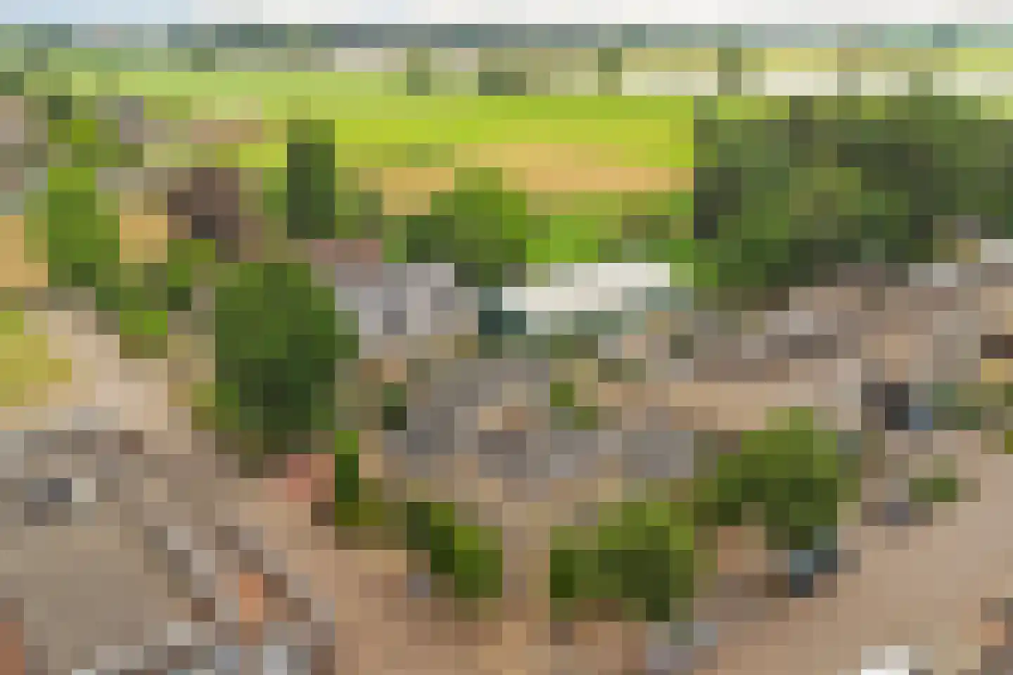 Speelmanshof 1 Ammerzoden thumbnail 49