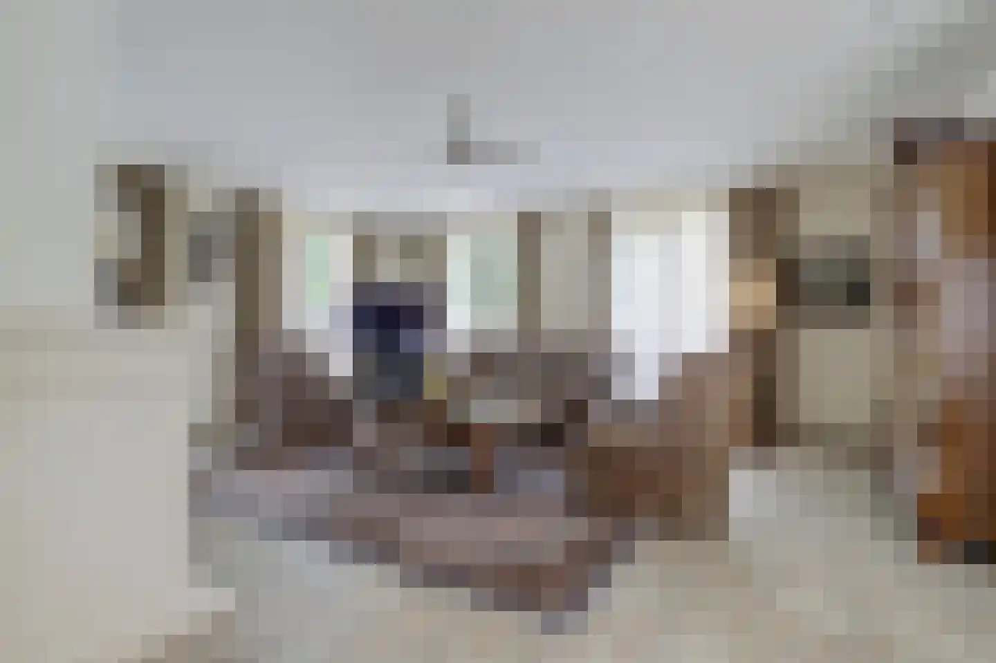 Speelmanshof 1 Ammerzoden thumbnail 5