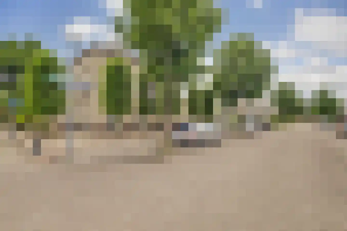 Speelmanshof 1 Ammerzoden thumbnail 50