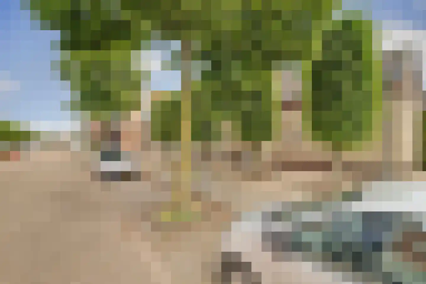 Speelmanshof 1 Ammerzoden thumbnail 53