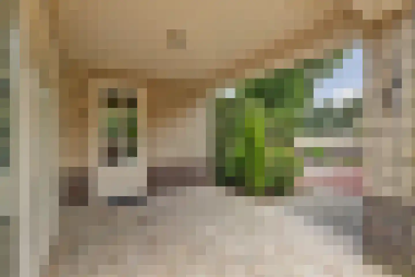 Speelmanshof 1 Ammerzoden thumbnail 57