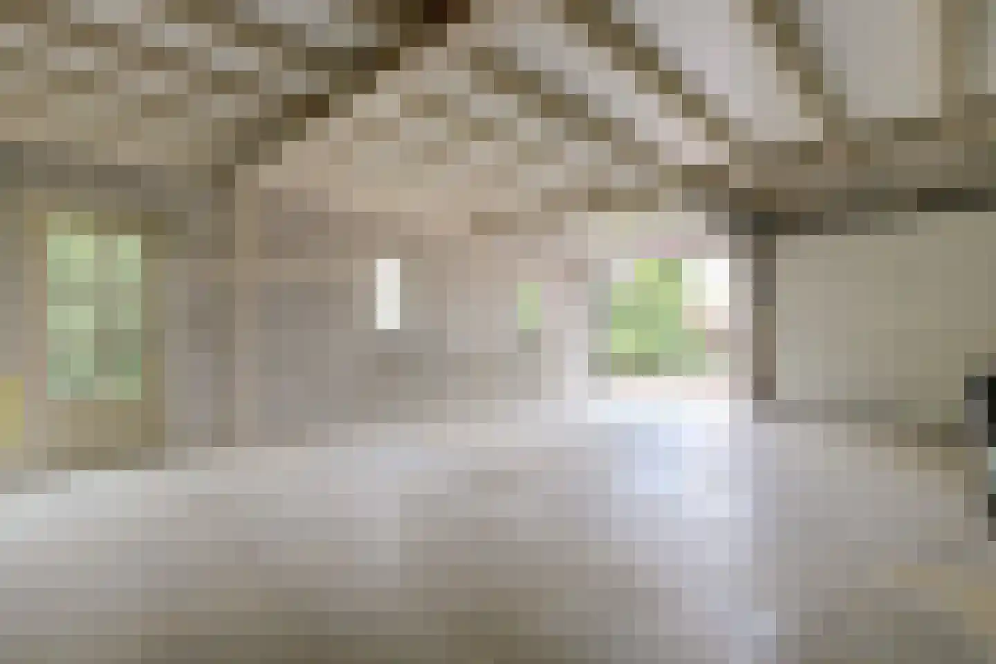Speelmanshof 1 Ammerzoden thumbnail 58