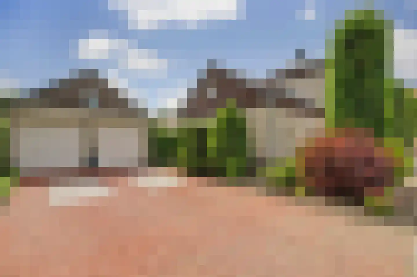 Speelmanshof 1 Ammerzoden thumbnail 60