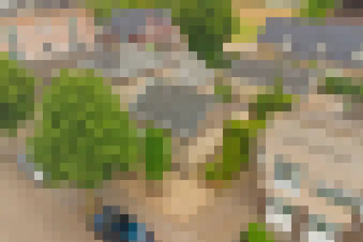 Speelmanshof 1 Ammerzoden thumbnail 64