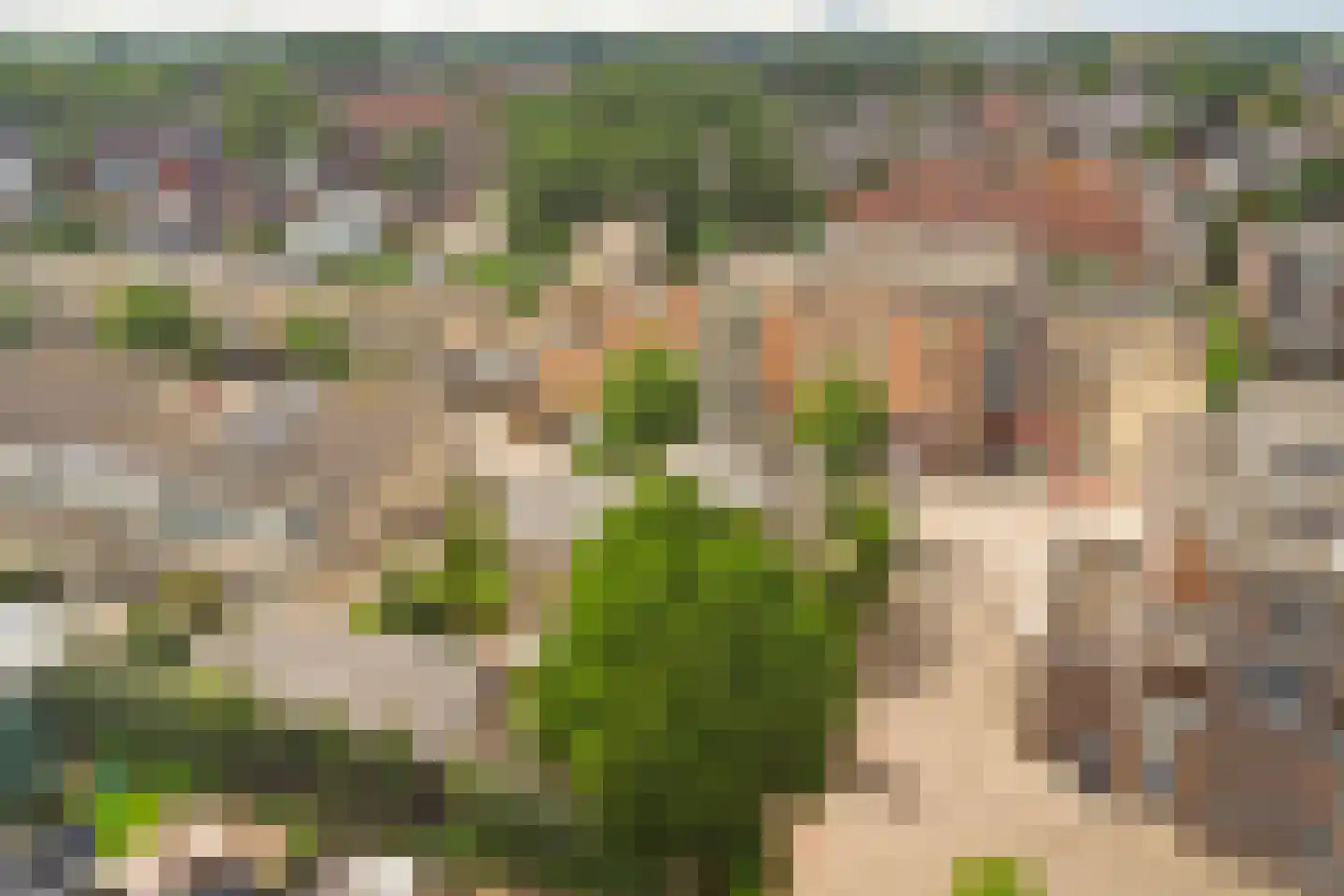 Speelmanshof 1 Ammerzoden thumbnail 67