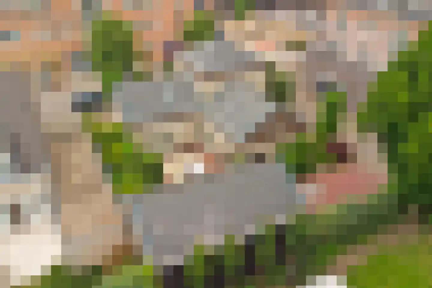 Speelmanshof 1 Ammerzoden thumbnail 70