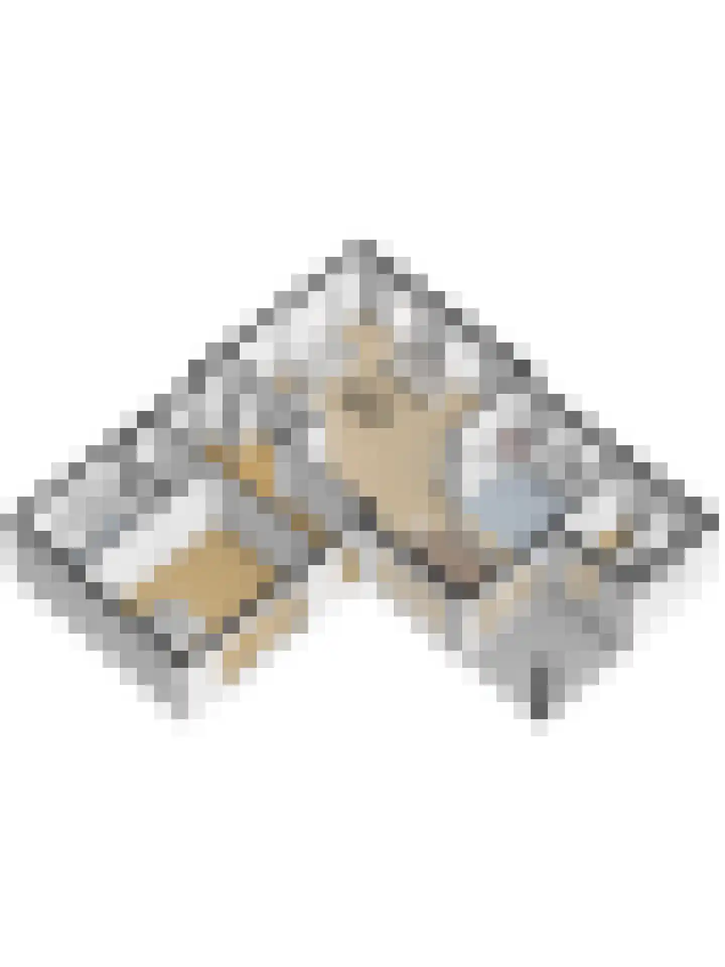 Speelmanshof 1 Ammerzoden thumbnail 77