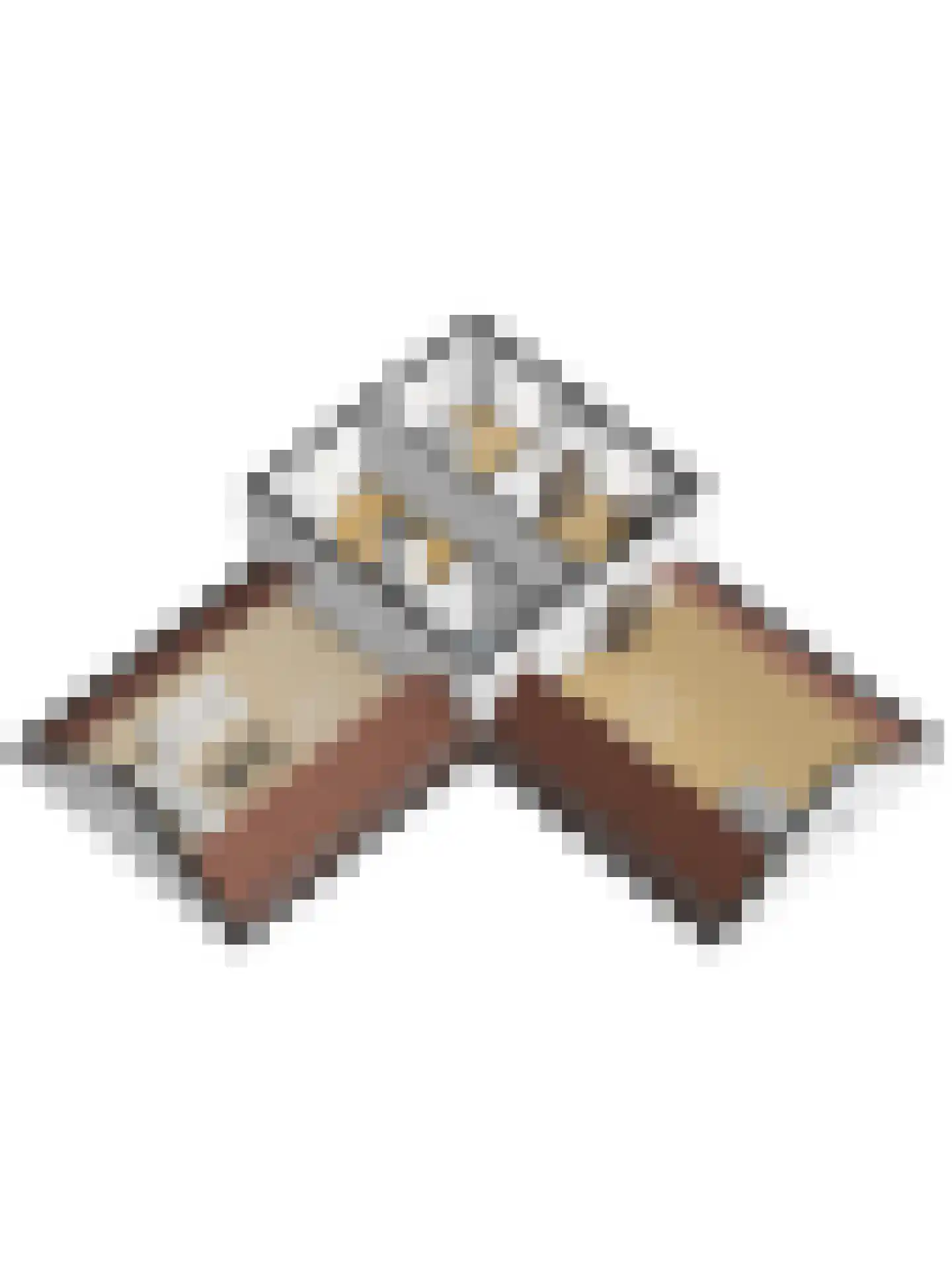 Speelmanshof 1 Ammerzoden thumbnail 78