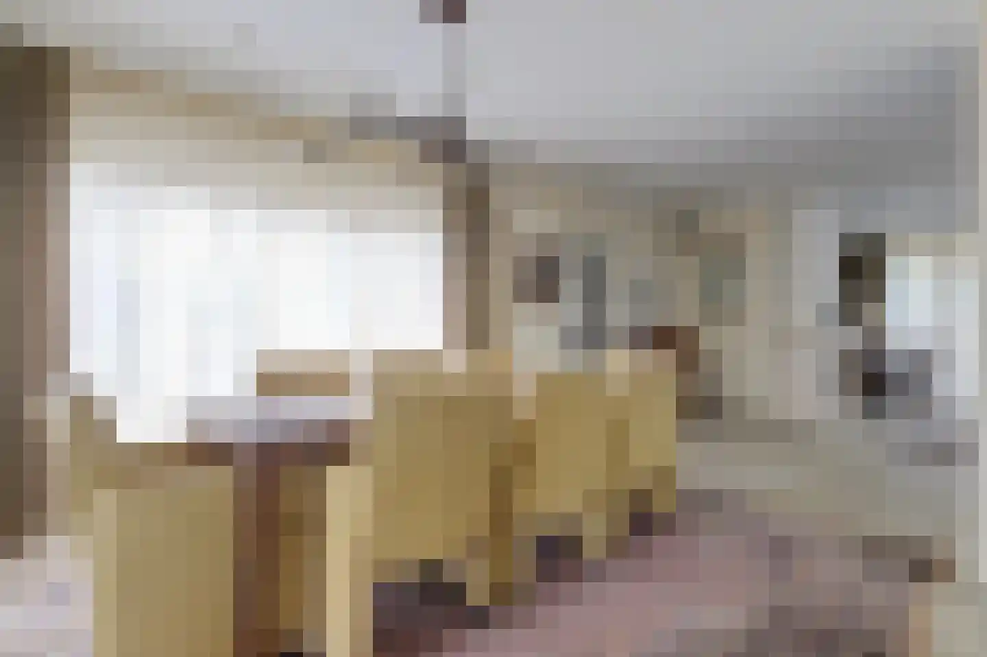 Speelmanshof 1 Ammerzoden thumbnail 8