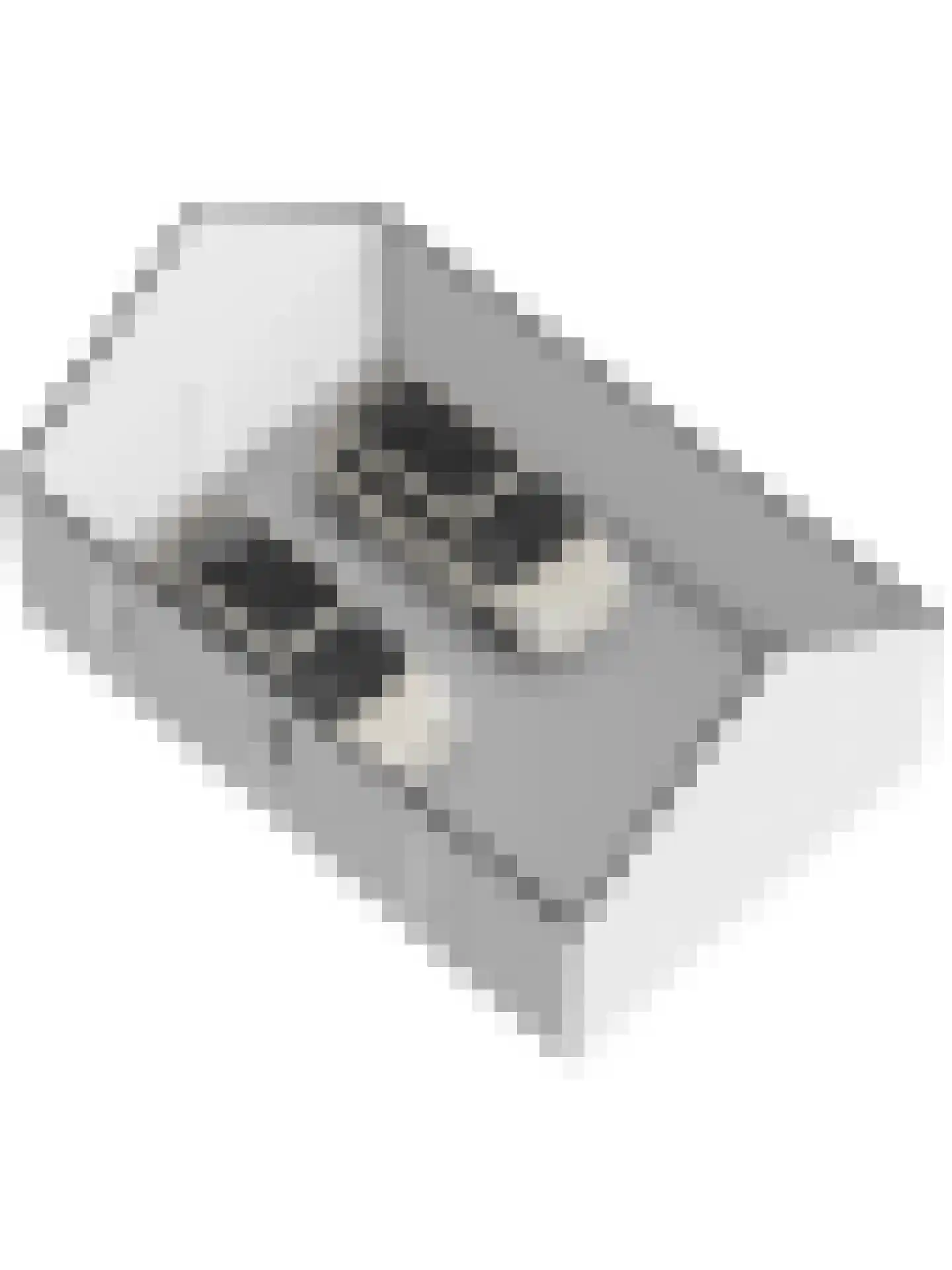 Speelmanshof 1 Ammerzoden thumbnail 80
