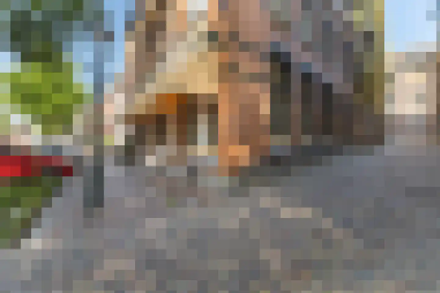Speelmansstraat 4 a Leeuwarden thumbnail 6