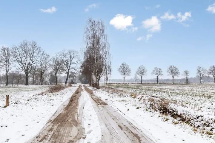 Speelmanstraat 11 a Halle thumbnail 51