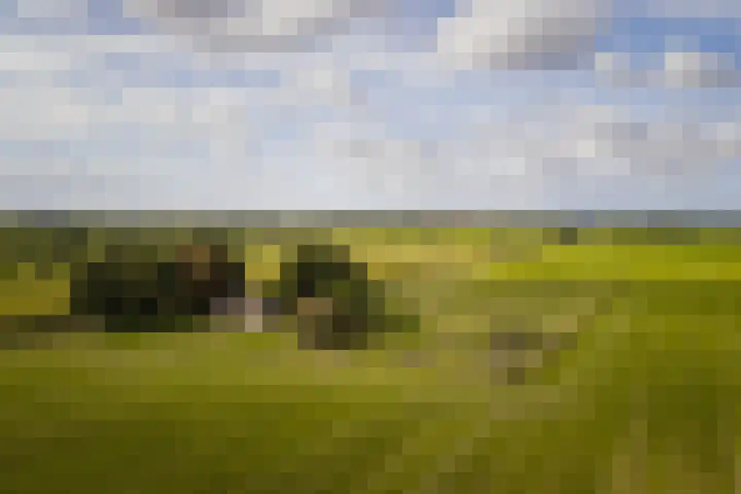 Speelmansweg 13 Heeten thumbnail 10