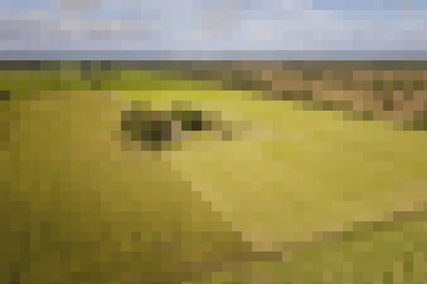 Speelmansweg 13 Heeten thumbnail 13