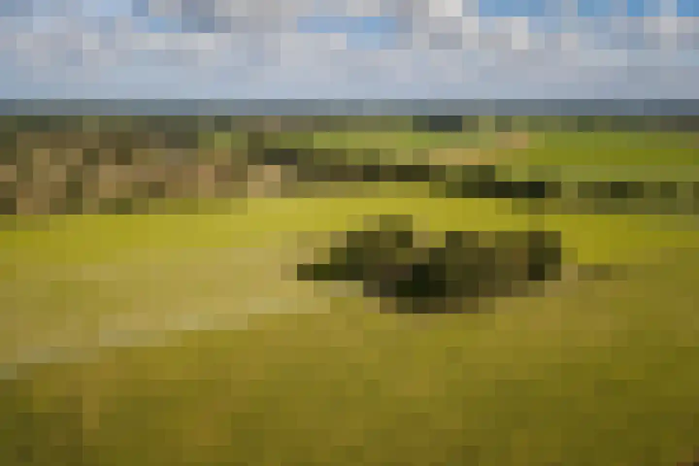 Speelmansweg 13 Heeten thumbnail 14