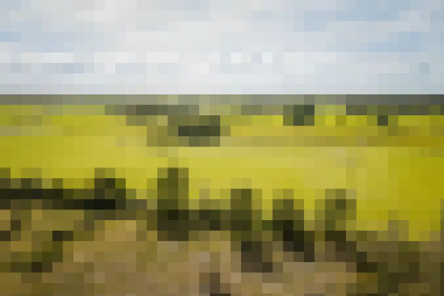 Speelmansweg 13 Heeten thumbnail 15